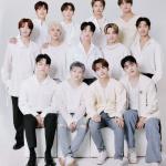 Biodata member seventeen K-pop